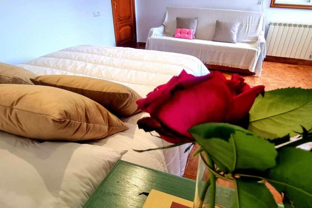 Casa Matria Villa Ponteareas Ngoại thất bức ảnh
